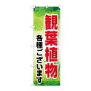 P.O.Pプロダクツ ☆G_のぼり GNB-2531 観葉植物各種ゴザイマス新品/小物送料対象商品/テンポス(3)