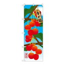 P.O.Pプロダクツ ☆G_のぼり SNB-1450 サクランボ新品/小物送料対象商品/テンポス(3)