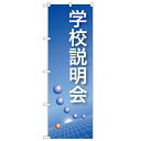 のぼり 【「学校説明会(青)」】のぼり屋工房 22321 幅600mm×高さ1800mm/業務用/新品/小物送料対象商品/テンポス