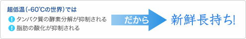 ダイレイ 冷凍ストッカー 70L -60度 スーパーフリーザー DFM-70e 幅553×奥行646×高さ890 単相100V/送料無料/テンポス