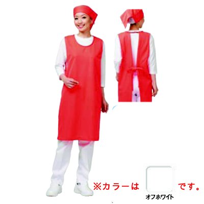 アイメッシュエプロン ノースリーブタイプ E5100 00G オフホワイト/プロ用/新品 /小物送料対象商品
