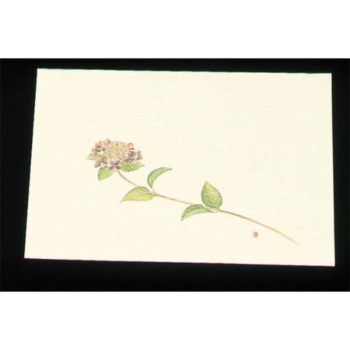 餐墊 - 遠赤外線抗菌和紙 四季の花 尺三懐石まっとクリーム（100枚入） WSS-6 あじさい 5月から6月/業務用/新品/小物送料対象商品