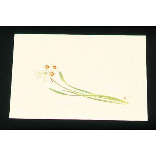 Rakuten - 遠赤外線抗菌和紙 四季の花 尺三懐石まっとクリーム（100枚入） WSS-17 水仙 12月から1月/業務用/新品/小物送料対象商品
