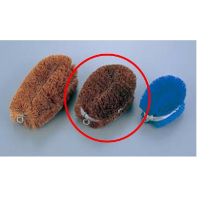 はねない タワシ 大/業務用/新品/小物送料対象商品