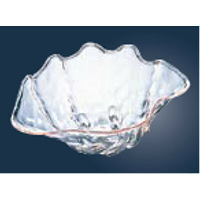 シャコ貝 クリアー M /プロ用/新品/小物送料対象商品