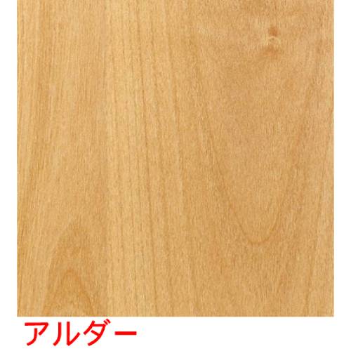 CH・アルダー ダストボックス 小 アルダー 50156/業務用/新品/小物送料対象商品 [2]