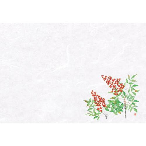 餐墊 - 尺5雲竜和紙懐石まっと 四季 南天 (100枚入)/業務用/新品/小物送料対象商品