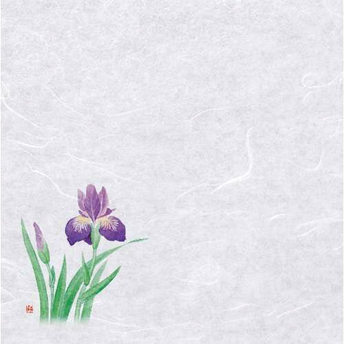 ■商品説明■商品名：新・濡れ奉書紙 菖蒲 (100枚入)メーカー：ヤマコーメーカー品番：21-383-04外形寸法：幅20×20cm(mm)お届け数：1商品コード：65395【配送料について】【ご注意】画面上の色はブラウザやご使用のパソコンの設定により実物と異なる場合があります。