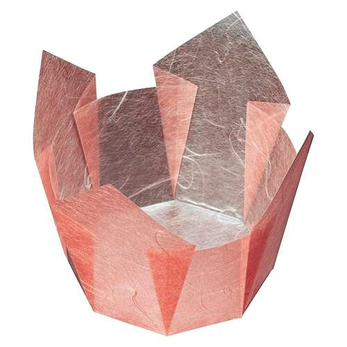 両面OP珍味入 紅梅雲竜 大 (100枚入)/業務用/新品/小物送料対象商品