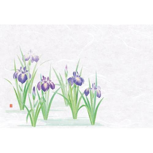 ■商品説明■商品名：尺3花暦 懐石まっと 菖蒲 (100枚入)メーカー：ヤマコーメーカー品番：21-372-04外形寸法：幅26.4×39cm(mm)お届け数：1商品コード：66880【配送料について】【ご注意】画面上の色はブラウザやご使用のパソコンの設定により実物と異なる場合があります。