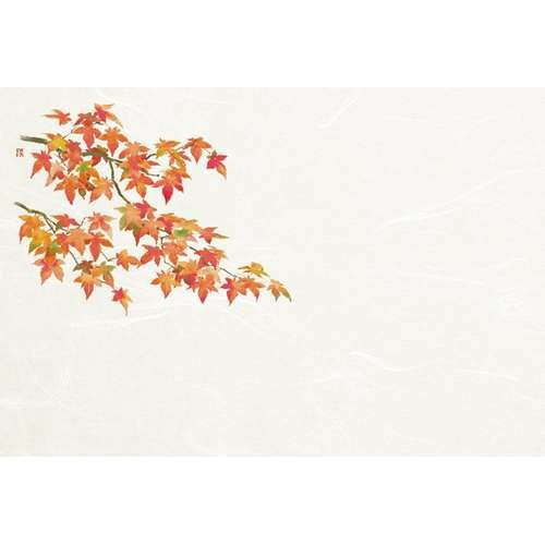 ■商品説明■商品名：尺3雲竜和紙懐石まっと 四季 紅葉 (50枚入)メーカー：ヤマコーメーカー品番：21-370-08外形寸法：幅26.4×39cm(mm)お届け数：1商品コード：64381【配送料について】【ご注意】画面上の色はブラウザやご使用のパソコンの設定により実物と異なる場合があります。