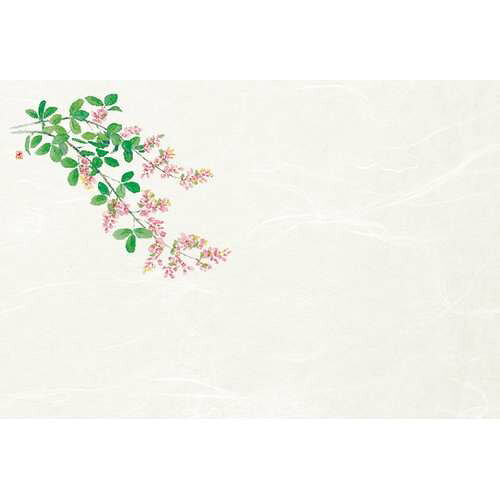 尺3雲竜和紙懐石まっと 四季 萩 (50枚入)/業務用/新品/小物送料対象商品