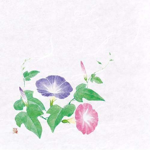 4寸OP懐石敷紙 朝顔 (100枚入)/業務用/新品/小物送料対象商品