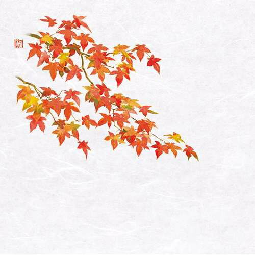 4寸OP懐石敷紙 紅葉 (100枚入)/業務用/新品/小物送料対象商品