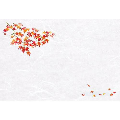 樂天商城 - 尺3雲竜和紙懐石まっと 枯淡 紅葉 (100枚入)/業務用/新品/小物送料対象商品