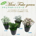 人工観葉植物 グリーンセダム ミニサイズ/業務用/新品 3