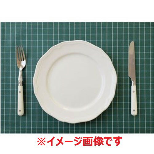 フローリナ ランチョンマット エコーシリーズ 44×33/業務用/新品(3)