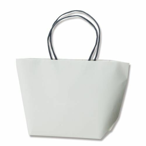 HEIKO 紙袋 プチバッグF9-6 白無地 10枚/業務用/新品/小物送料対象商品