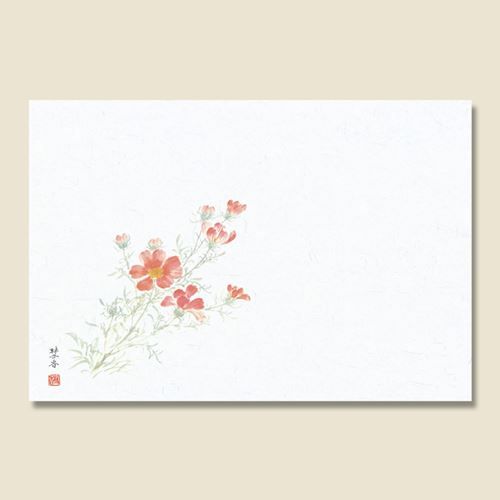和風テーブルマット 輝シリーズ 17秋桜（コスモス） 100枚/業務用/新品/小物送料対象商品