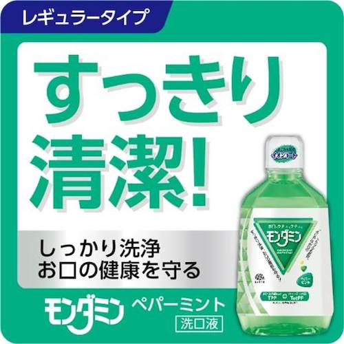 厨房機器と店舗用品 TENPOSのアース モンダミンペパーミント1080ml/プロ用/新品/小物送料対象商品｜アングル2