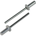 エビ ブラインドリベット・シールドタイプ アルミ/スティール6-6 (1000本入)/業務用/新品/小物送料対象商品(4)