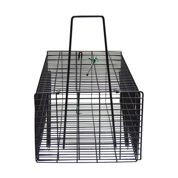 TAKAGIブラックねずみ捕獲カゴ 角型 大【5個セット】/業務用/新品/小物送料対象商品