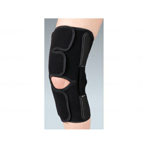 ˡOA1()/֥å/LL/̳//ʪоݾ