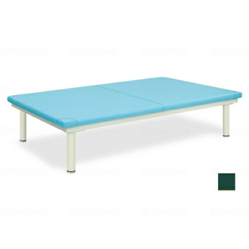 プラットフォーム/メディグリーン/幅110*長190*高45/業務用/新品/送料無料