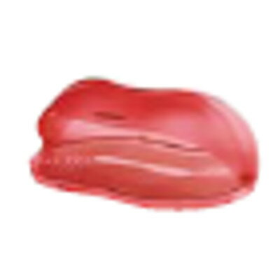 グッチーニ ブレッドケース 2325.00 65クリアーレッド/業務用/新品/小物送料対象商品/テンポス