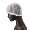 ヘアネット(10枚入り/1セット)ホワイト G5076 /業務用/新品/小物送料対象商品