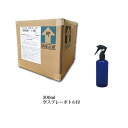 【送料無料】ピュオロジェン1000ppm/20L スプレーボトル付 除菌スプレー 消臭スプレー 除菌消臭スプレー 空間除菌 部屋 車 赤ちゃん 哺乳瓶 ペット 犬 猫 衣類 靴 キッチン まな板 冷蔵庫 消臭 ゴミ箱 生ゴミ 剣道 トイレ 安全 飲食店 厨房 除菌液 食器 食器類