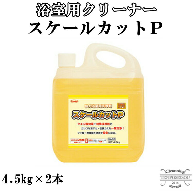 浴室用 スケールカットP 4.5kg×2本 横浜油脂工業