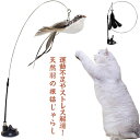 手持ち・吸着可能！猫じゃらし 猫おもちゃ 猫用品 おもちゃ 羽のおもちゃ ペット用品 ねこじゃらし 鳥おもちゃ 猫 キャット 天然羽根 おもちゃ 人気 吸盤式 一人遊び 守番対応 運動不足解消 ストレス解消 プレゼント 送料無料