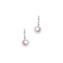 K14WG 7.5mm アコヤ真珠 デザインイヤリング 宇和島 真珠 ジュエリー・アクセサリー Tensei Pearl 天成真珠(あこや パール 本真珠 フォーマル カジュアル 誕生日 結婚式 七五三 成人祝い 就職祝い 成人式 卒業式 入学式 入園式 卒園式 母の日 ギフト プレゼント)