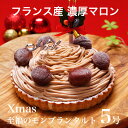 クリスマスケーキ プレゼント 本州 送料無料至福のモンブラン...