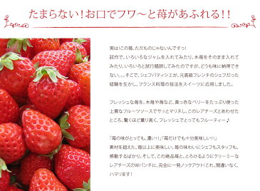 お歳暮 御歳暮 早割 お菓子 ギフト クリスマスケーキ 予約 2019ストロベリー チーズ タルト 4個入誕生日プレゼント ギフト 内祝い お礼 スイーツ 食べ物 食品 プレゼント おしゃれ 苺 チーズケーキ 個包装 小分け 冷凍