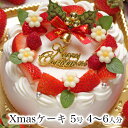 クリスマスケーキ 予約 本州 送料無料 2019ホワイトベリー5号 Ver.2 4?6人前誕生日ケーキ バースデーケーキ 生クリーム 苺 たっぷり ショートケーキ女性 子供 かわいい おしゃれ 翌日 配送日指定