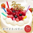 いちご生クリームケーキ6号 送料込 バースデー 誕生日 いちごケーキ バースデーケーキ デコレーションケーキ おいしい 人気ケーキ スイーツギフト メッセージ