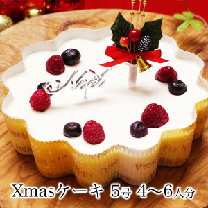 クリスマスケーキ 誕生日ケーキ 予約 送料無料 インスタ映え 大人 子供 サプライズケーキ かわいい 面白い 誕生日プレゼント ホールケーキ 冷凍 解凍8時間【 幸せのダブル チーズケーキ 5号 4-6人前】