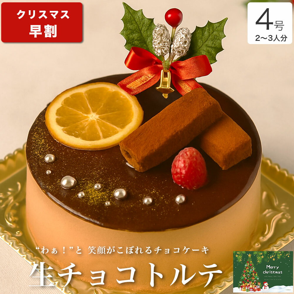 【早割 ポイント2倍 12/5まで】 クリスマスケーキ 2025 送料無料 クリスマス ギフト プレゼント お取り寄せ 2人 チョコ ケーキ 大人 子供 インスタ映え かわいい びっくり サプライズ 冷凍 解凍8時間【生 チョコ トルテ 4号 2-3人分】のサムネイル