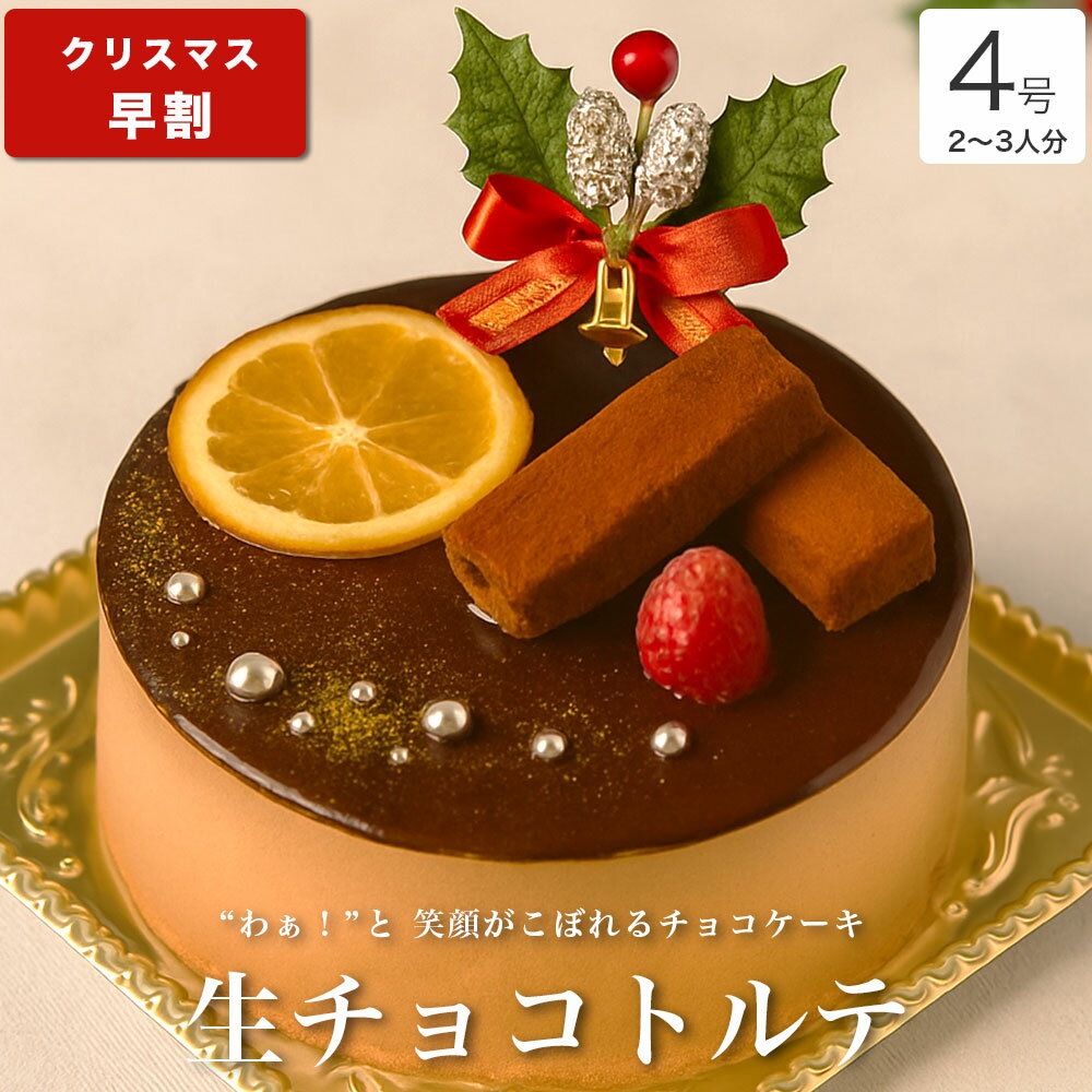 【早割 ポイント8倍 11/15まで】 クリスマスケーキ 2025 送料無料 クリスマス ギフト プレゼント お取り寄せ 2人 チョコ ケーキ 大人 子供 インスタ映え かわいい びっくり サプライズ 冷凍 解凍8時間【生 チョコ トルテ 4号 2-3人分】