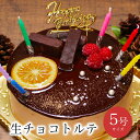誕生日 ケーキ バースデーケーキ チョコレートケーキ 大人 予約 送料無料 イン