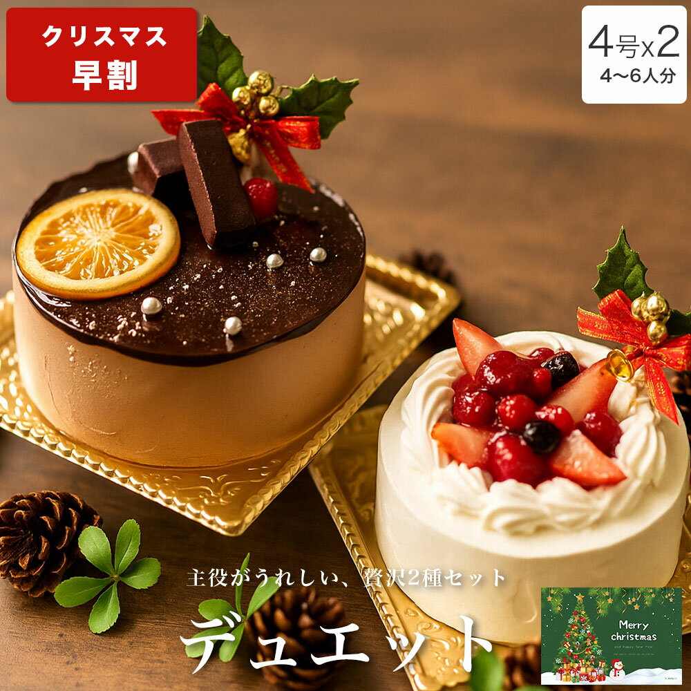 【早割 ポイント2倍 12/5まで】 クリスマスケーキ 2025 送料無料 クリスマス ギフト プレゼント お取り寄せ チョコ 苺 チョコ 大人 子供 インスタ映え かわいい びっくり サプライズ ショートケーキ 冷凍 解凍12時間【デュエット 4号x2台セット 4-6人分】のサムネイル