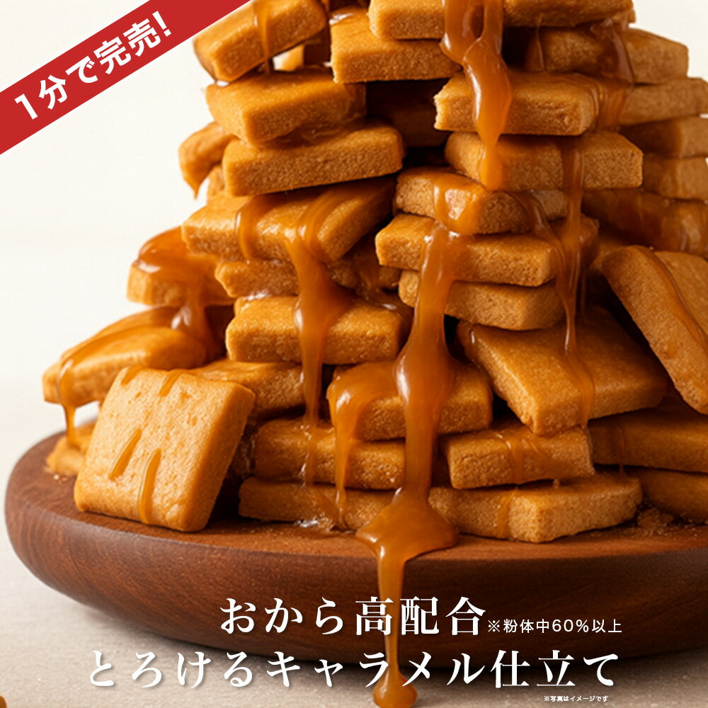 \1分で完売!/至福のおからサブレ 40枚入 約440g おから クッキー ダイエット お菓子 置き換え 食品 おやつ ヘルシー 健康 美容 大豆 プロテイン ...