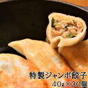 【特製ジャンボ餃子】★40g×30個入★こだわりの国産黒豚使用！天津飯店の手包み特製ジャンボ餃子 冷凍餃子/餃子/水餃子/ぎょうざ/ギョウザ/ギョーザ/こだわり/手作り/職人/国産黒豚/おいしい/ジューシー