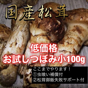 (低価格)国産松茸お試しツボミ小100g