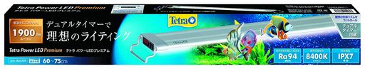ƥȥ (TETRA) ѥLEDץߥ 60 饤 ꥦ ʪ饤 ޡ¡ ǽ ɿǽ...
