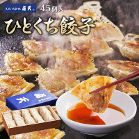 【点天】ひとくち餃子★1箱　45個入(タレ・ラー油付)【大阪土産　ぎょうざ　贈り物　おみやげ　大阪】