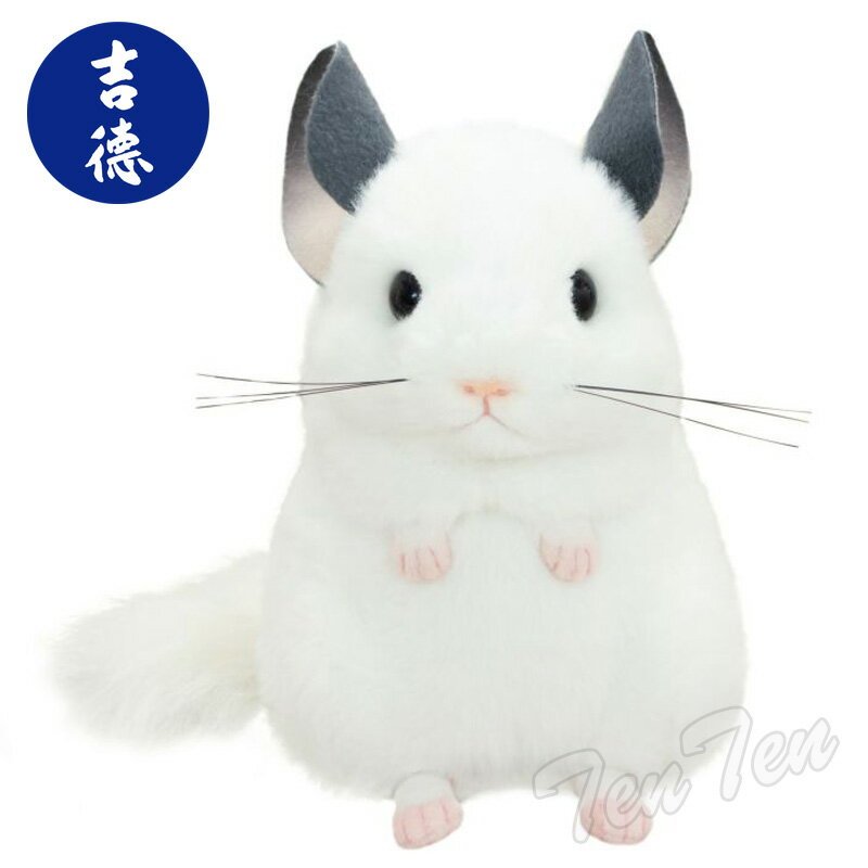 【 予約品 7月頃入荷 】 吉徳 チンチラ ぬいぐるみ 【正規品】 りくシリーズ チンチラ 動物 ヌイグルミ 人形 かわいい もふもふ よしとく 小動物のサムネイル