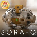 ソラキュー 月面探査ロボット フラグシップモデル SORA-Q Flagship Model 【 初回生産分 】 日本おもちゃ大賞 JAXA 変形ロボット SLIM 機体変形 ラジコン 【即納品】 クリスマスプレゼント 贈り物